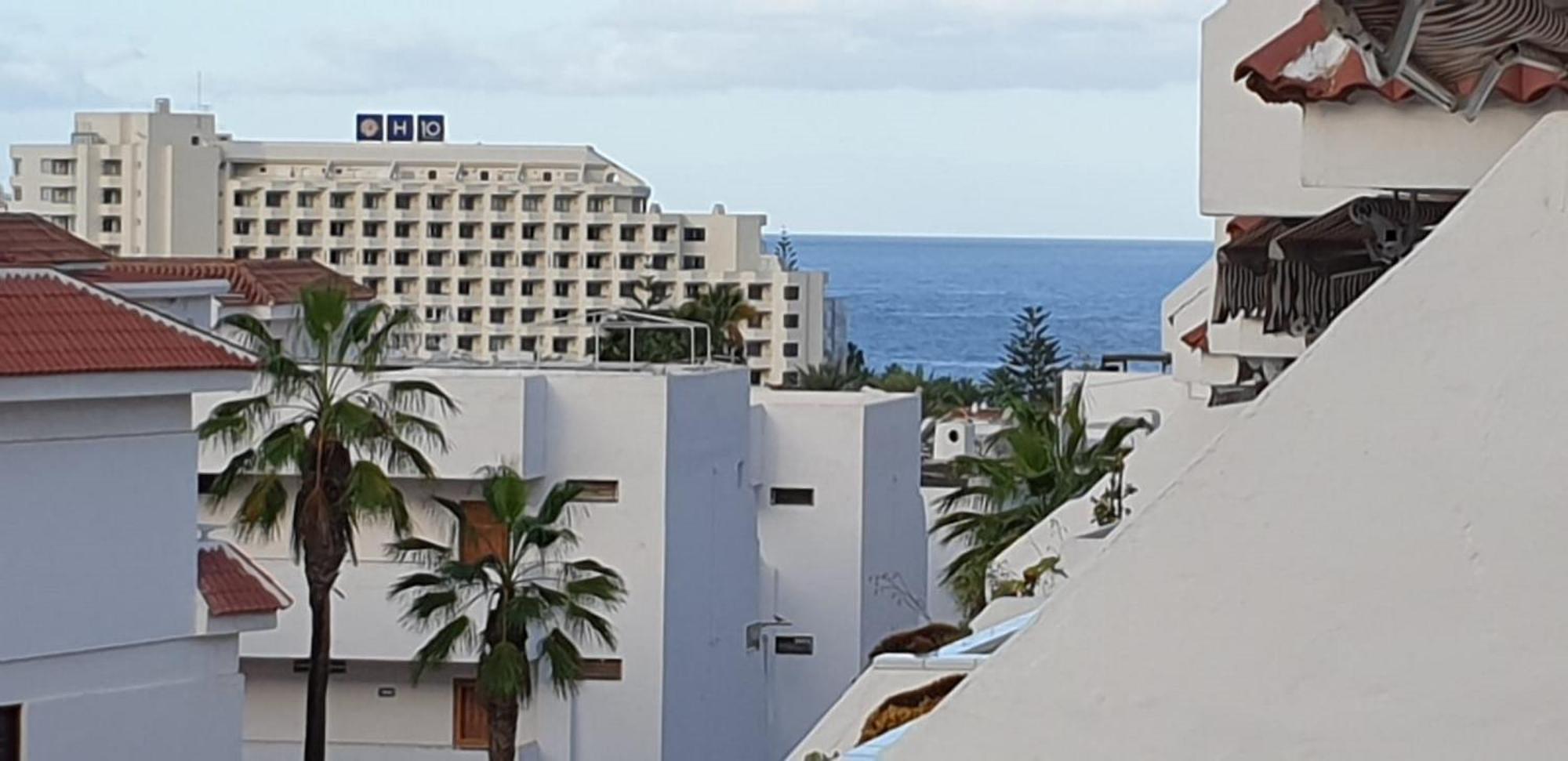 Las Floritas 23 Terrace And Swimming Pool 美洲海滩 外观 照片